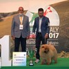 Mediterranean Winner - 17 giugno 2017