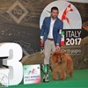 ENCI WINNER - Milano, 18 giugno 2017
