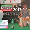 ENCI WINNER - Milano, 18 giugno 2017