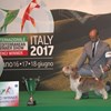ENCI WINNER - Milano, June 18, 2017