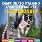 Campionato italiano assoluto di agility 2018 - agility2018_camp_italiano_assoluto_locandina.jpg