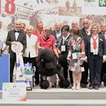 ENCI WINNER 2018 - Esposizione internazionale di Milano - ven 15 giugno 2018