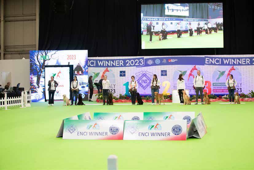 Programma Ring d'Onore